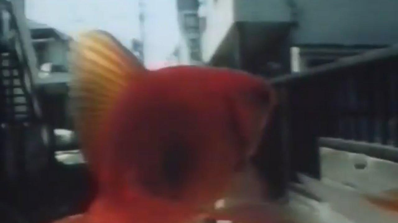 Lenz of Spinoza 1989 movie scene