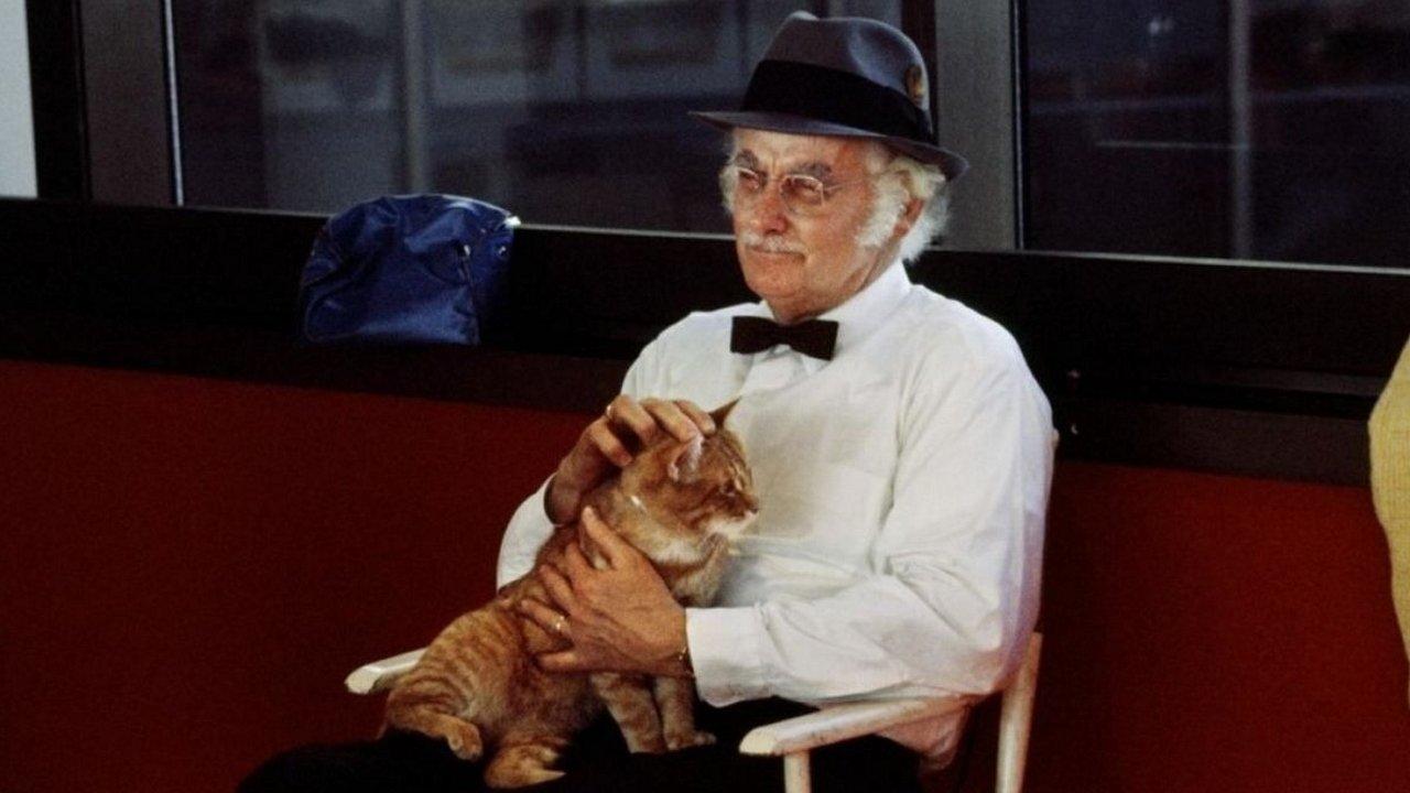 Harry and Tonto 1974 movie scene