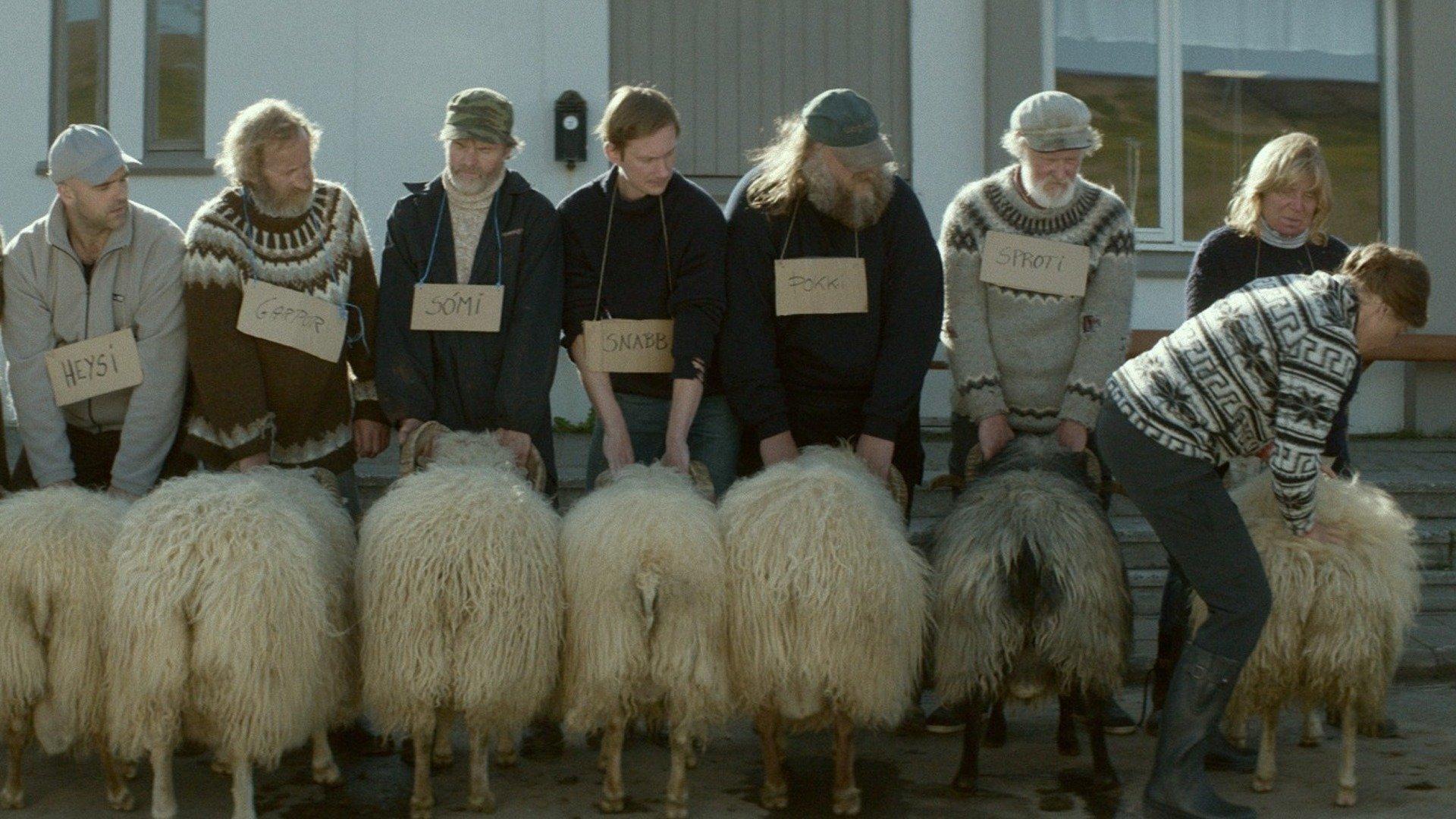Rams 2015 movie scene