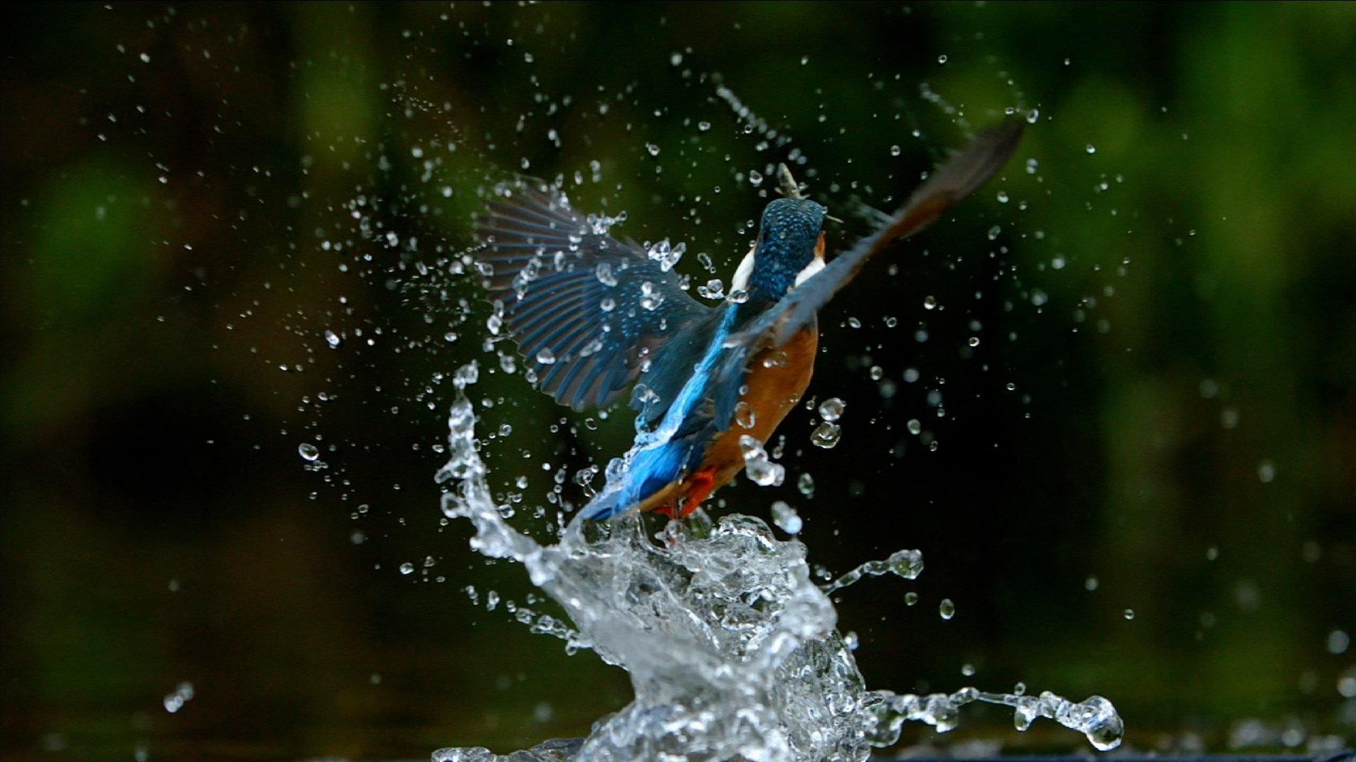 Ireland's Wild River 2014 movie scene