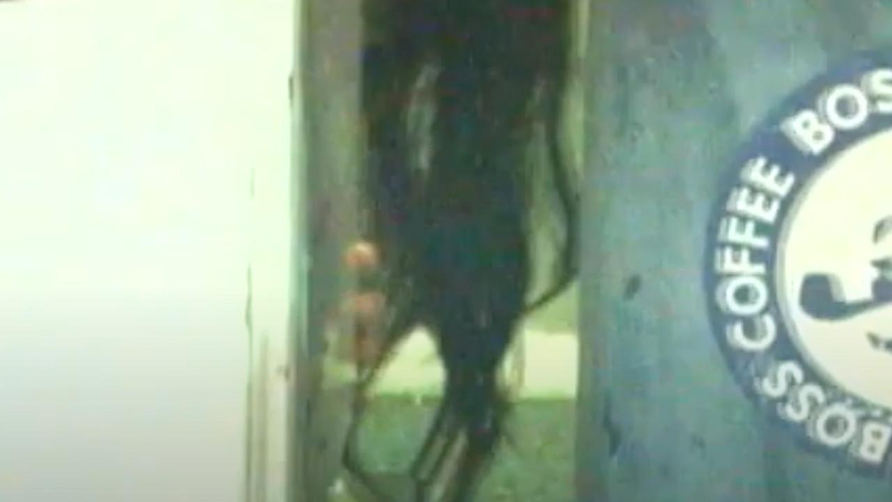 Honto Ni Atta! Noroi No Video 12 2004 movie scene