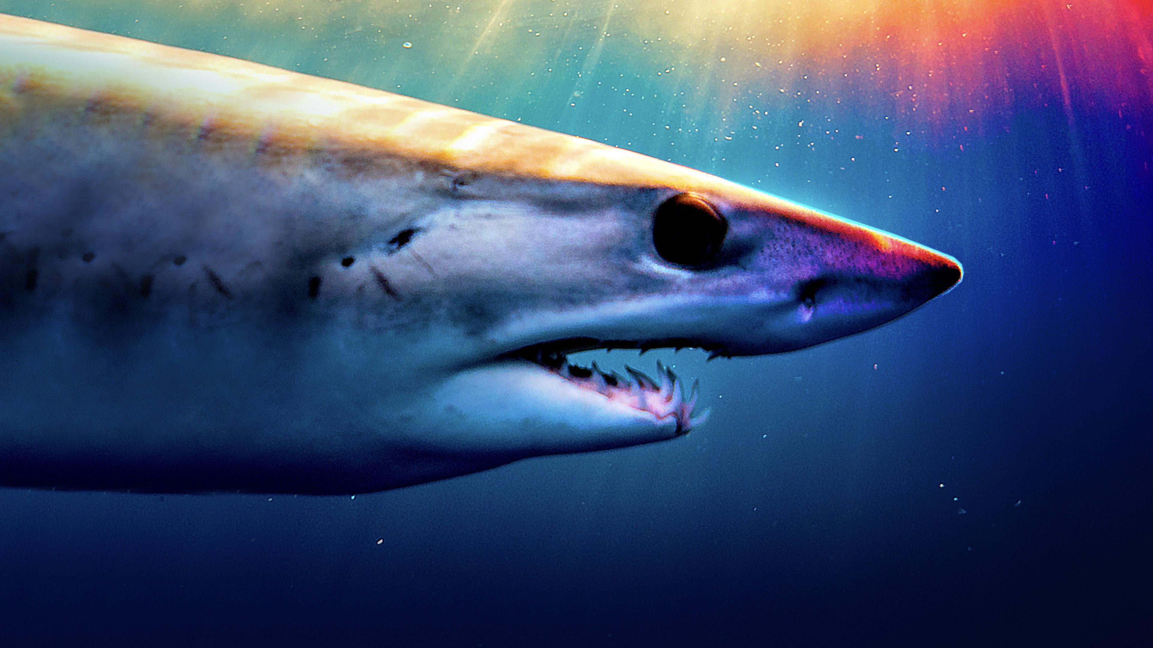 Shark Superpower 2022 movie scene