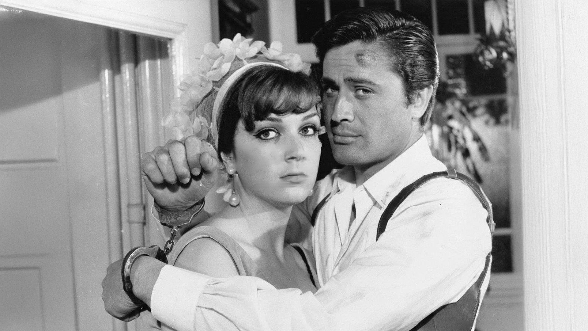 Ruby-Eyed Cat 1966 movie scene