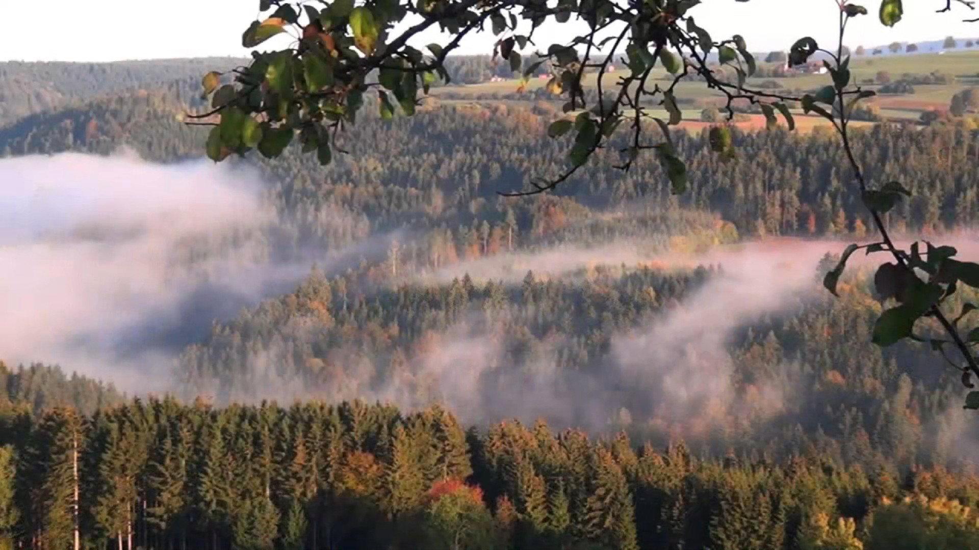 The Black Forest - Mystischer Schwarzwald 2013 movie scene