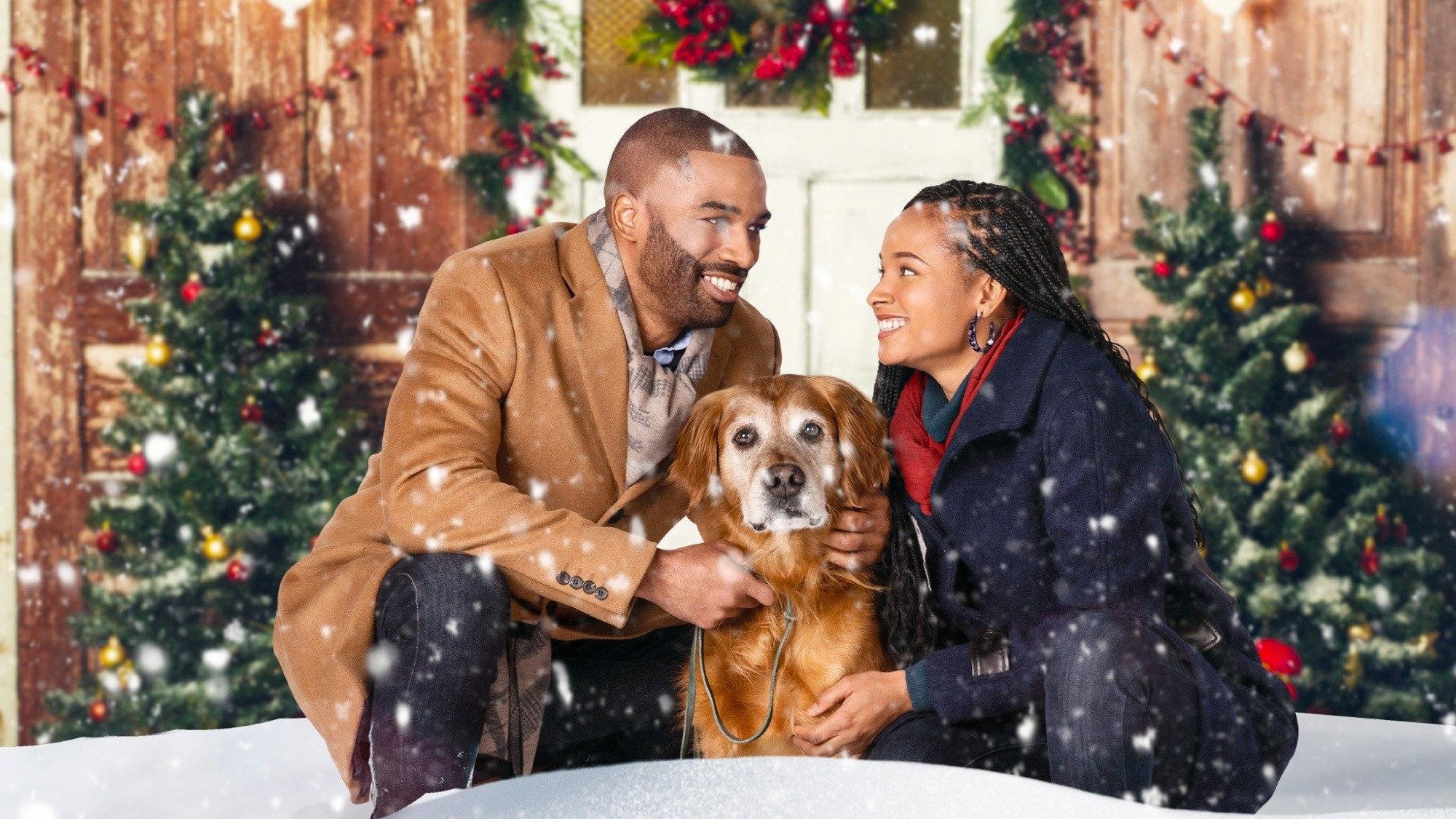A Christmas Stray 2021 movie scene
