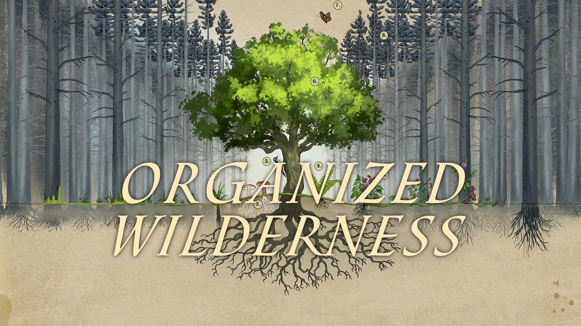 Organized Wilderness  movie scene