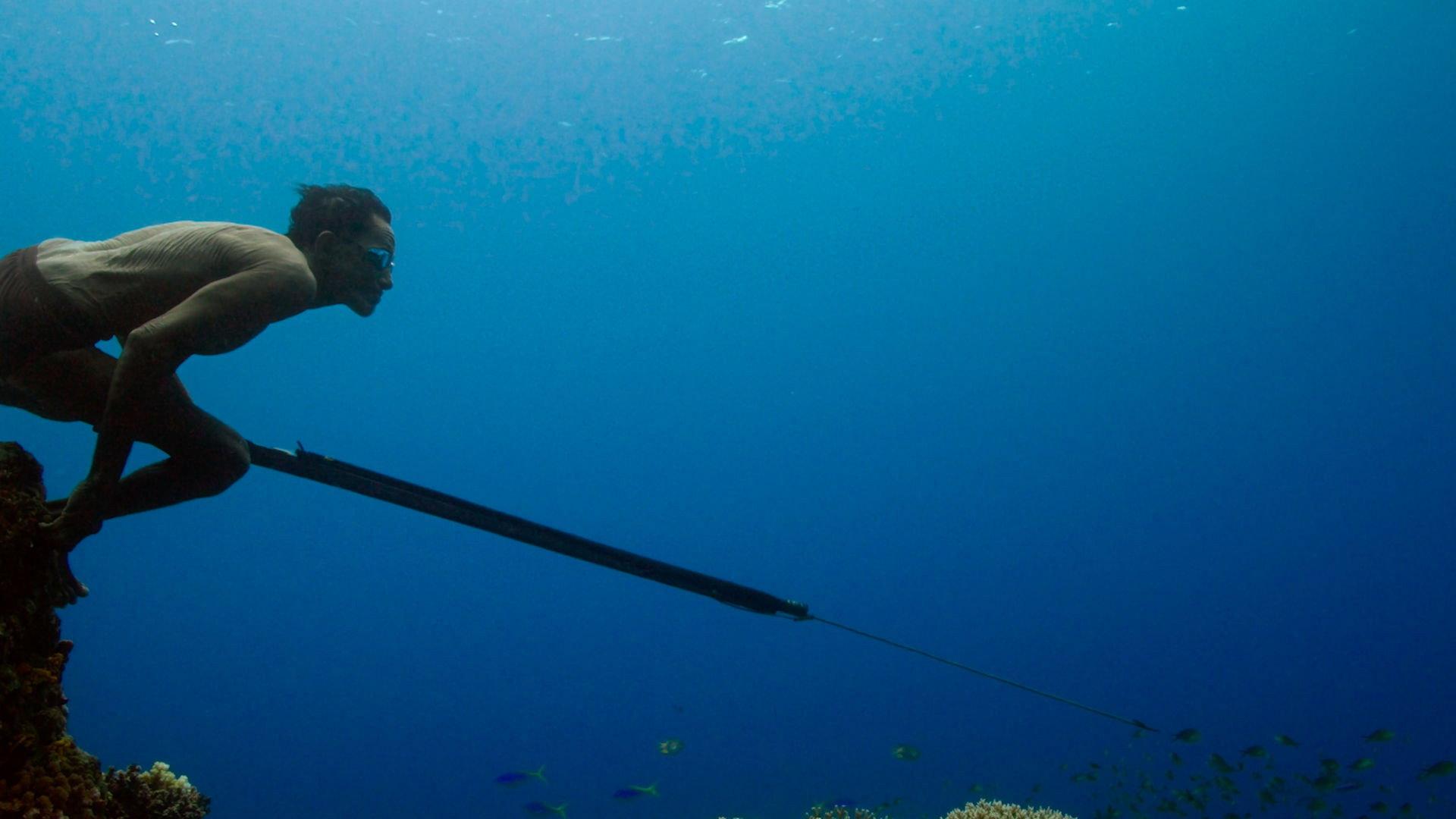 Jago: A Life Underwater 2015 movie scene