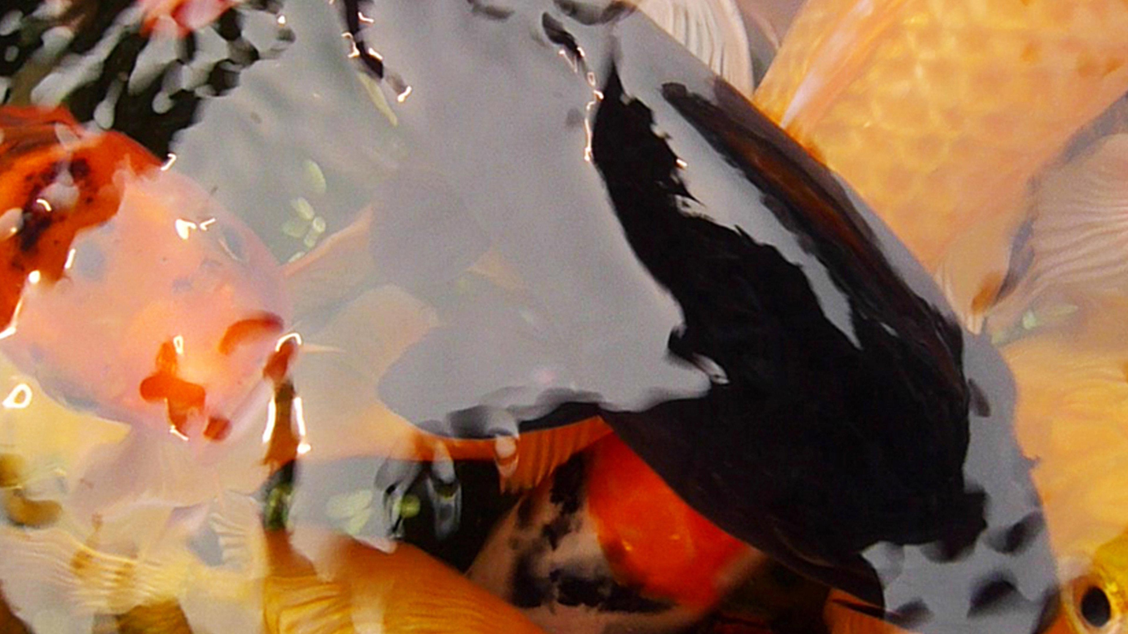 The Fish 2010 movie scene