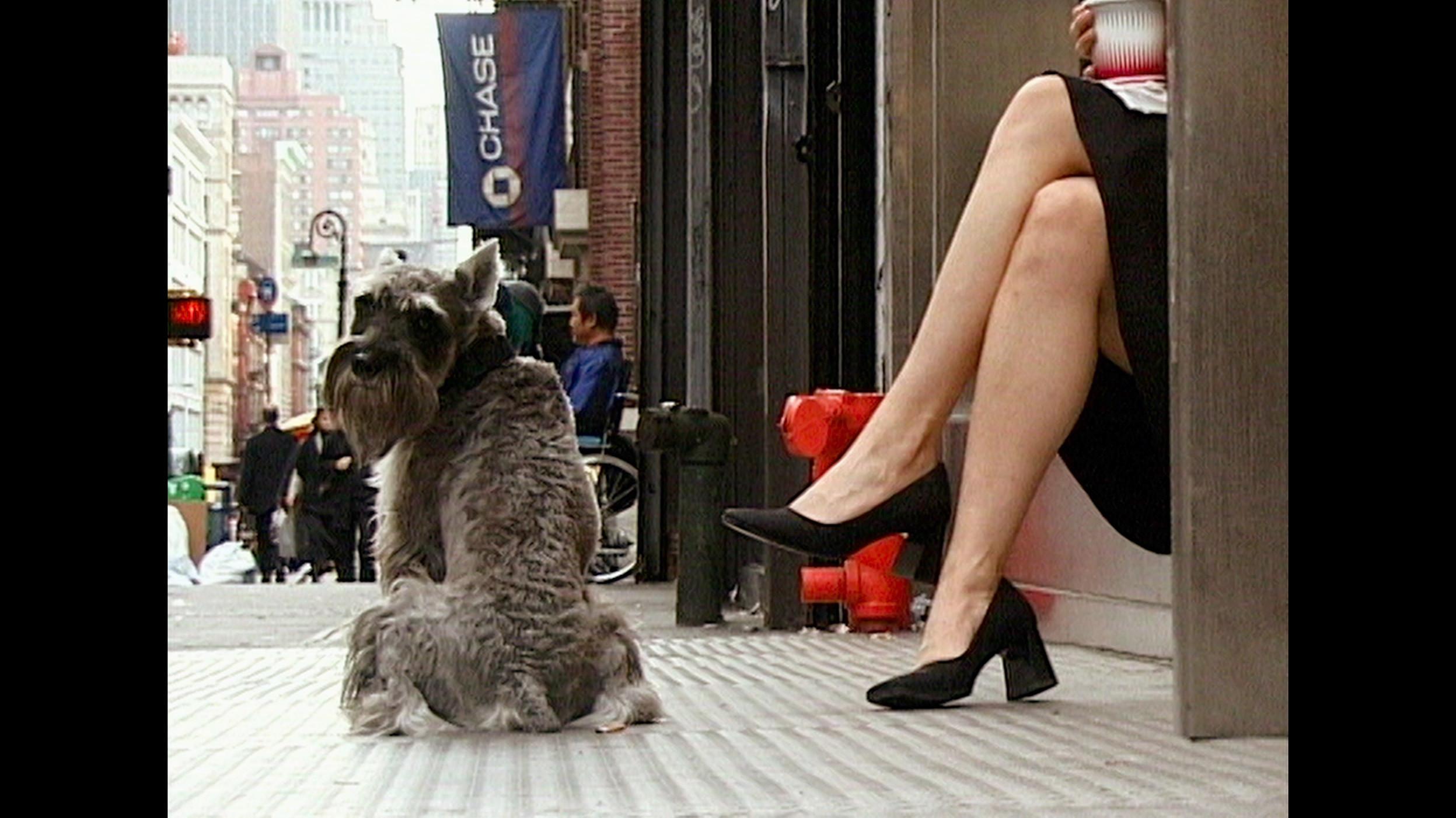 Walk Don't Walk 2002 movie scene