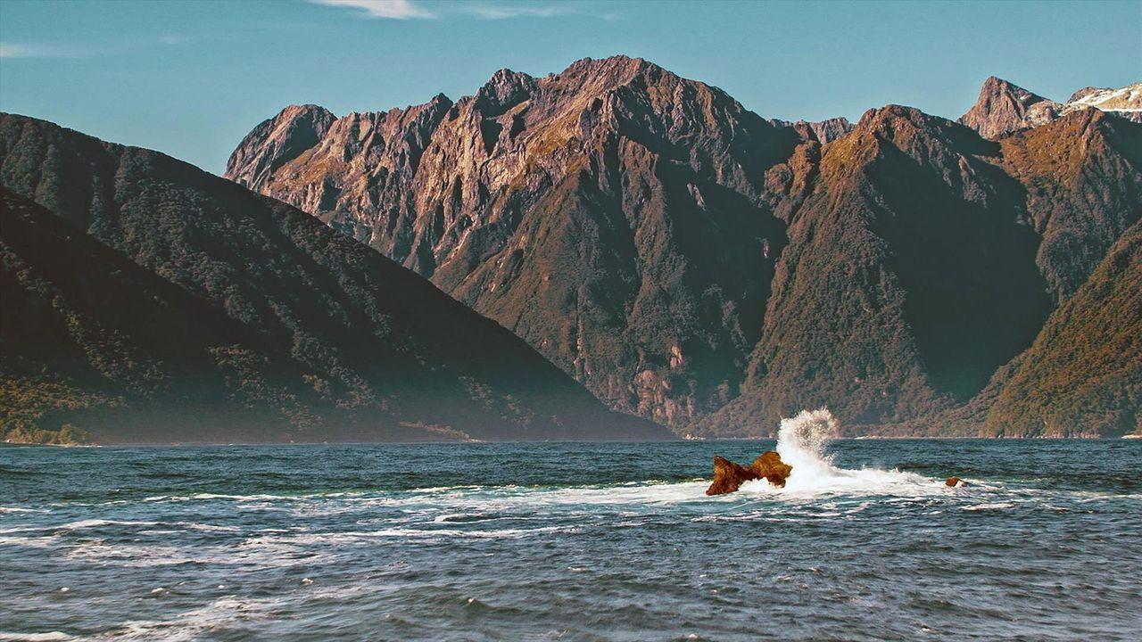 Fascinating New Zealand 2019 movie scene