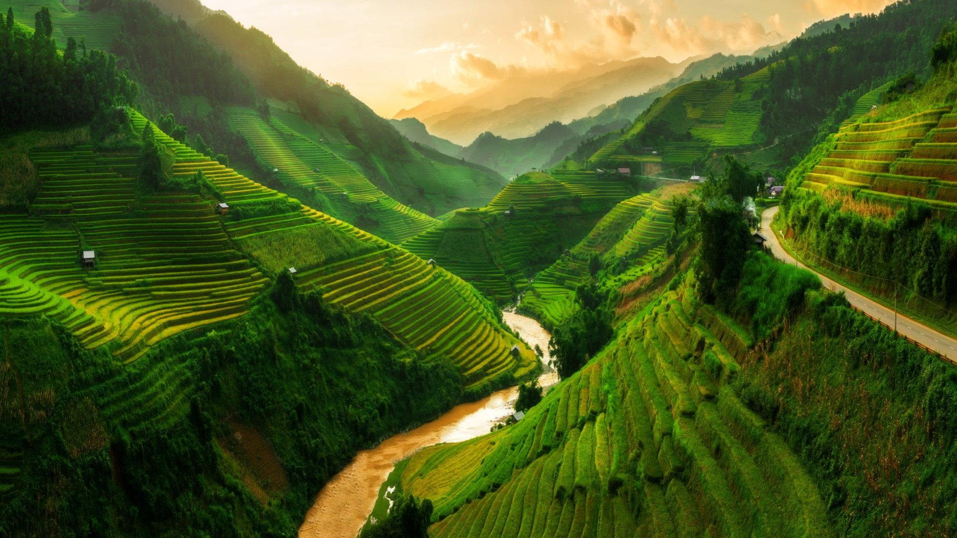 Abenteuer Vietnam 2020 movie scene