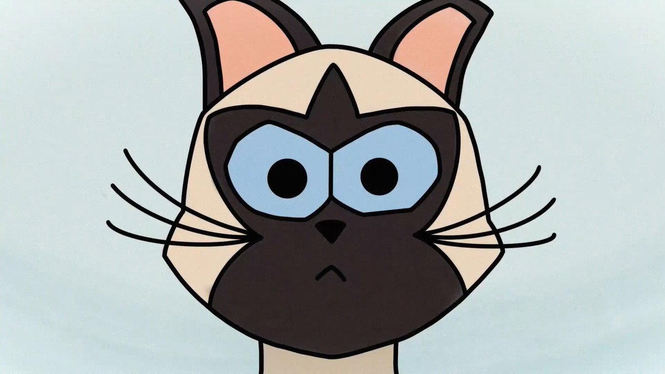 Braulio, The Cat 2023 movie scene