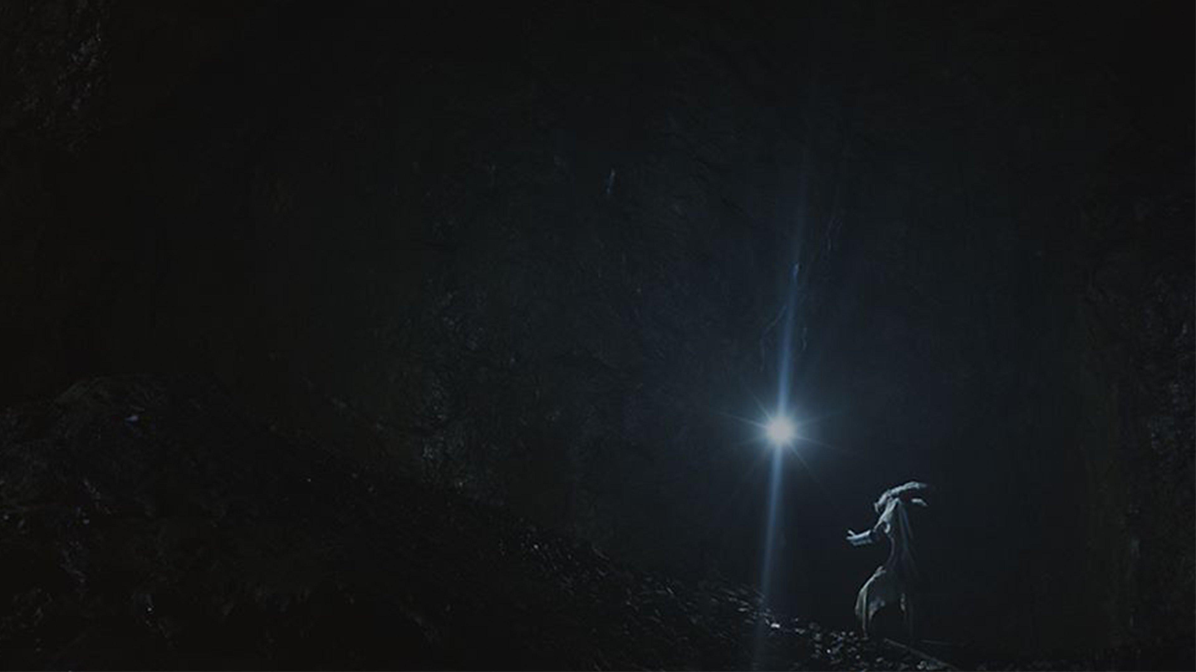 Spiritus Lepus 2017 movie scene