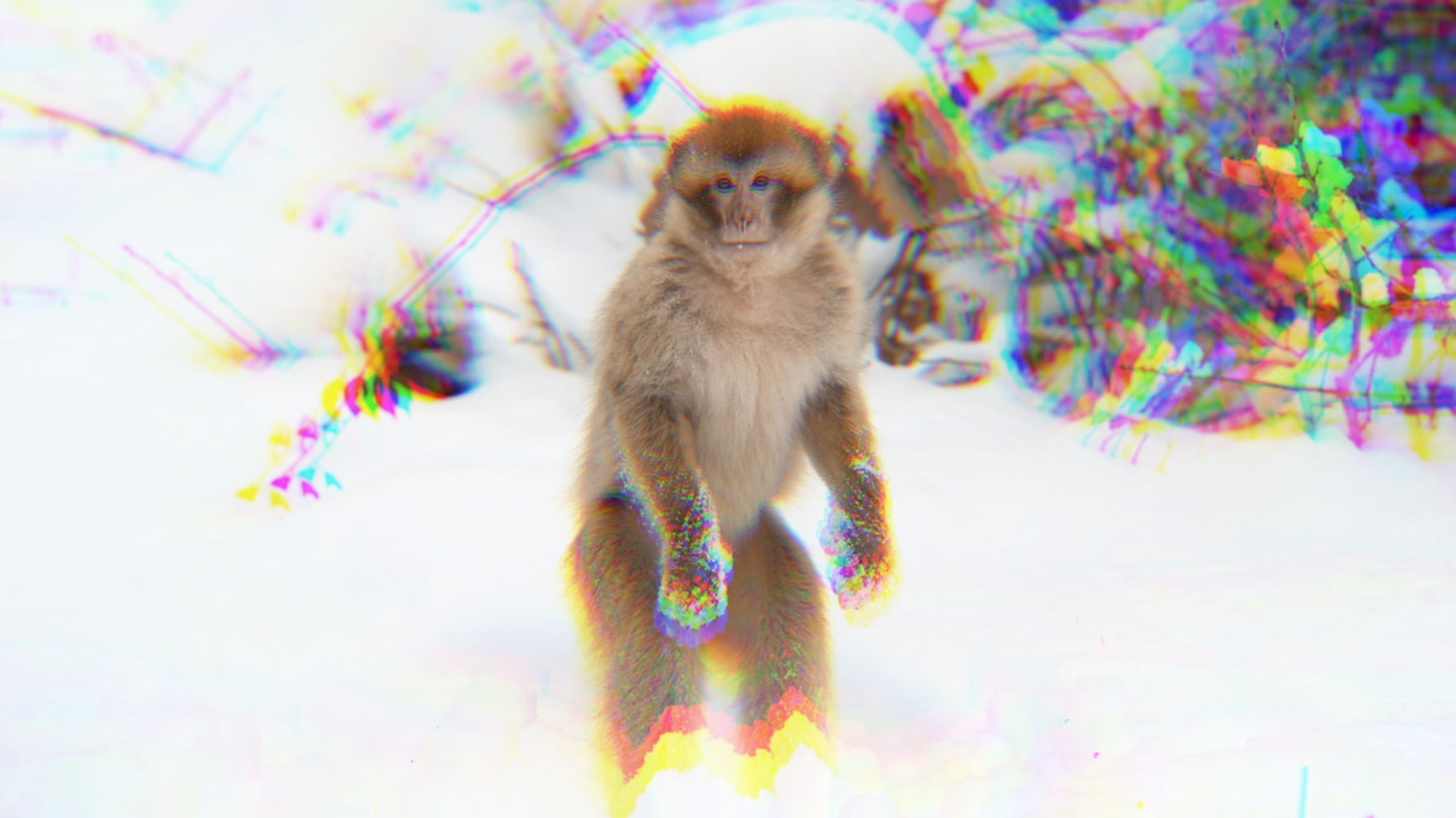monkey facts. 2025 movie scene