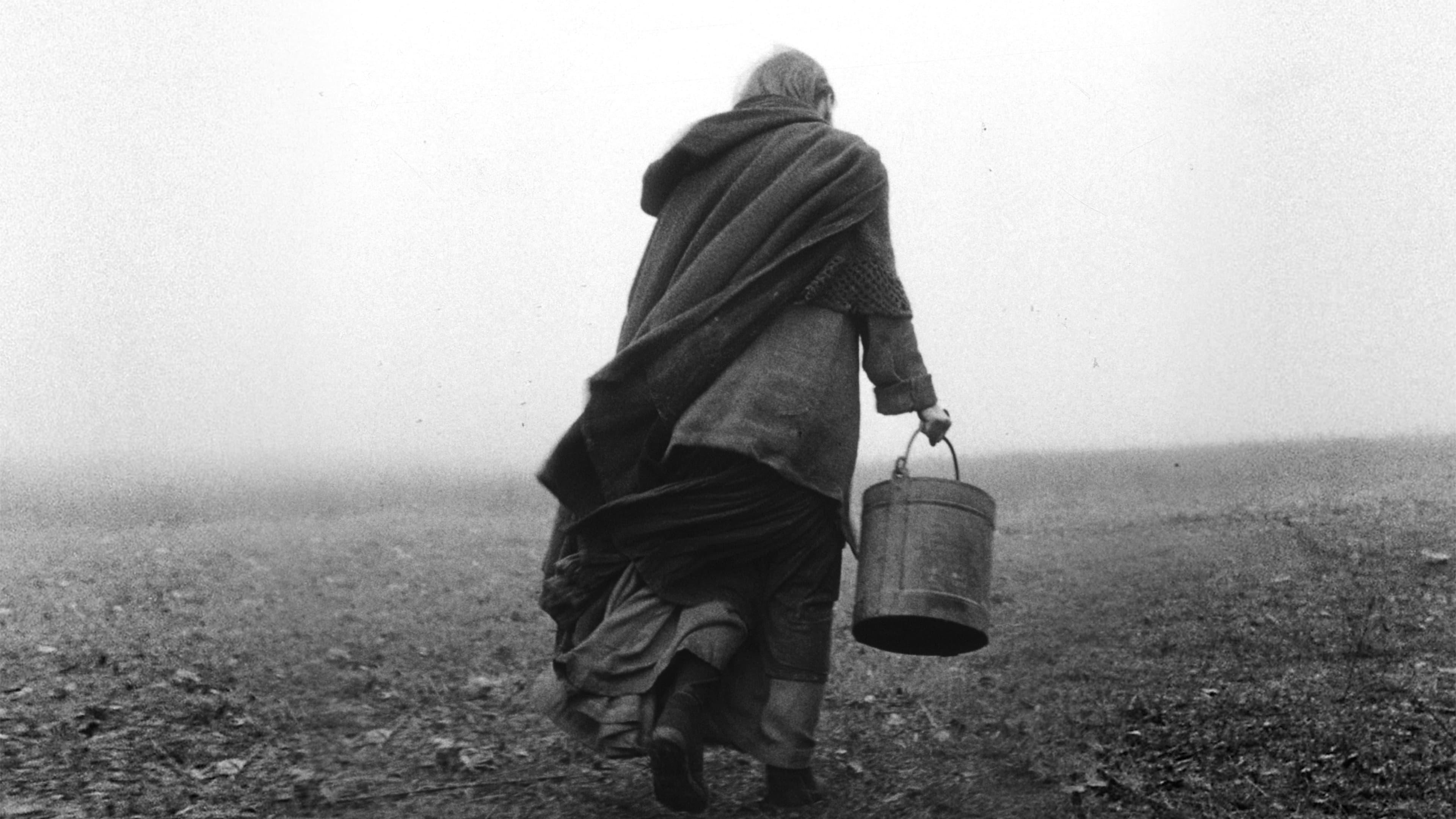The Turin Horse 2011 movie scene