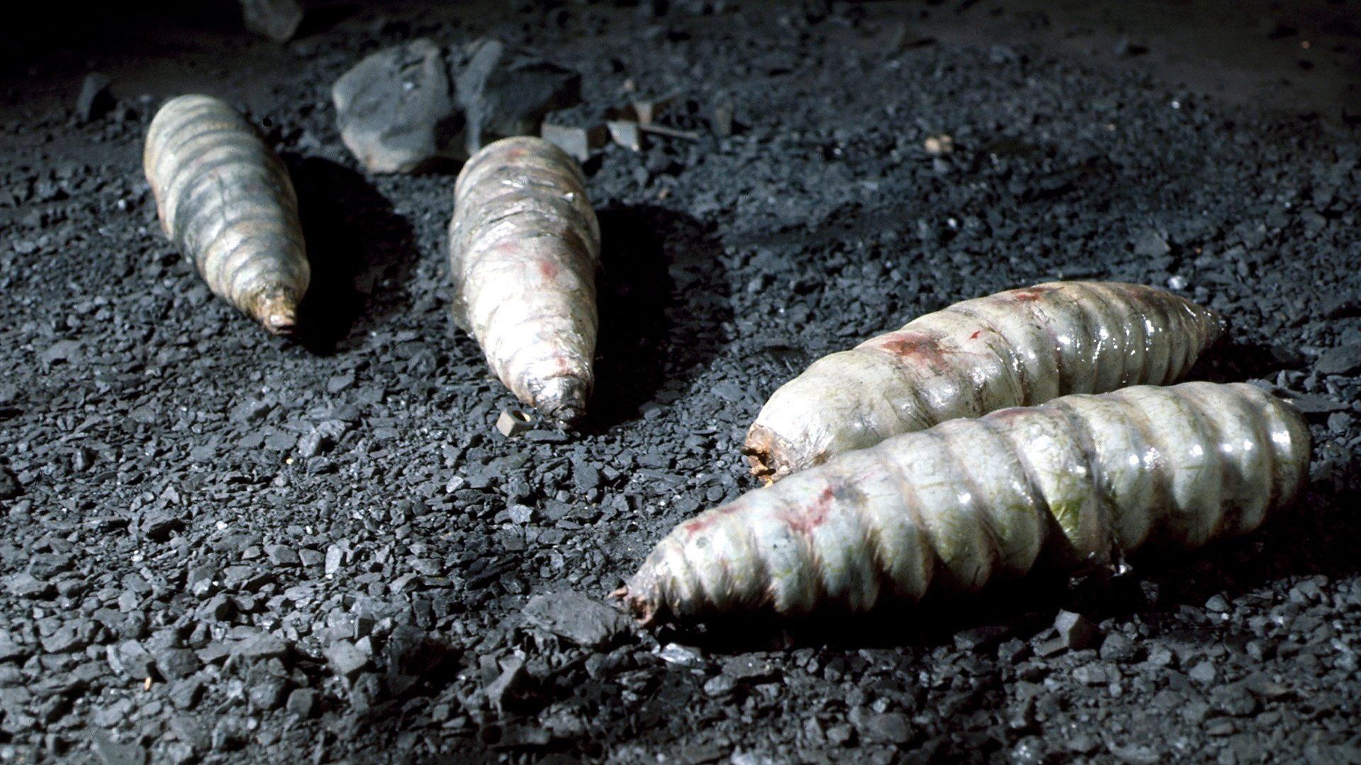 Doctor Who: The Green Death 1973 movie scene