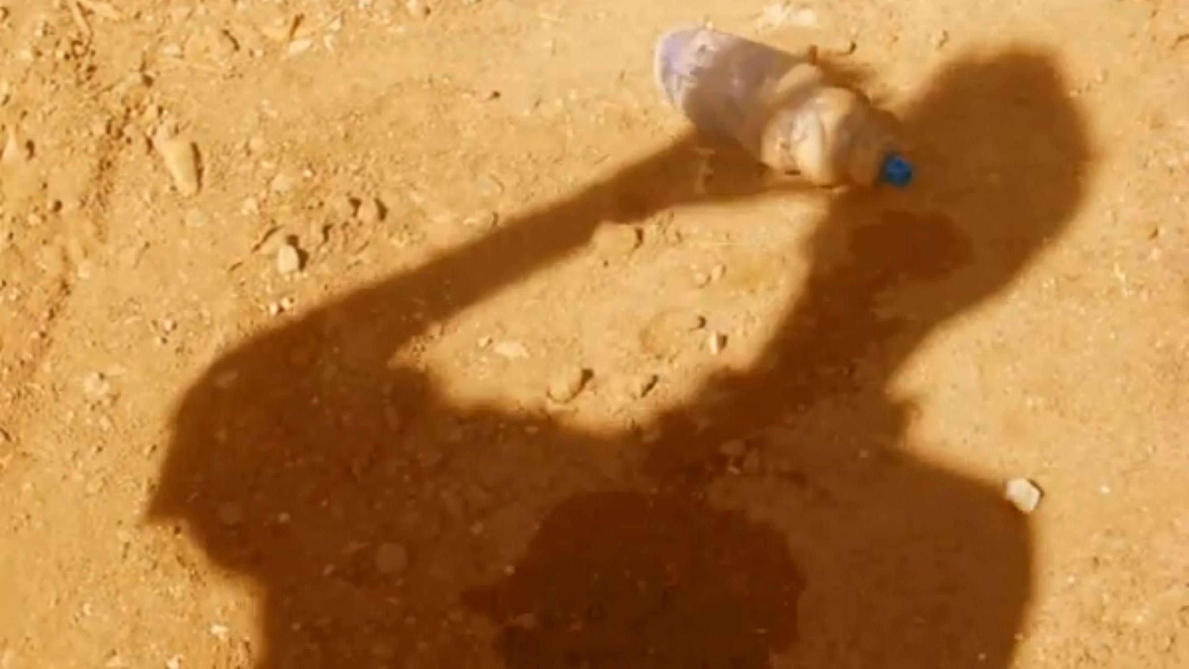 Removed 2012 movie scene