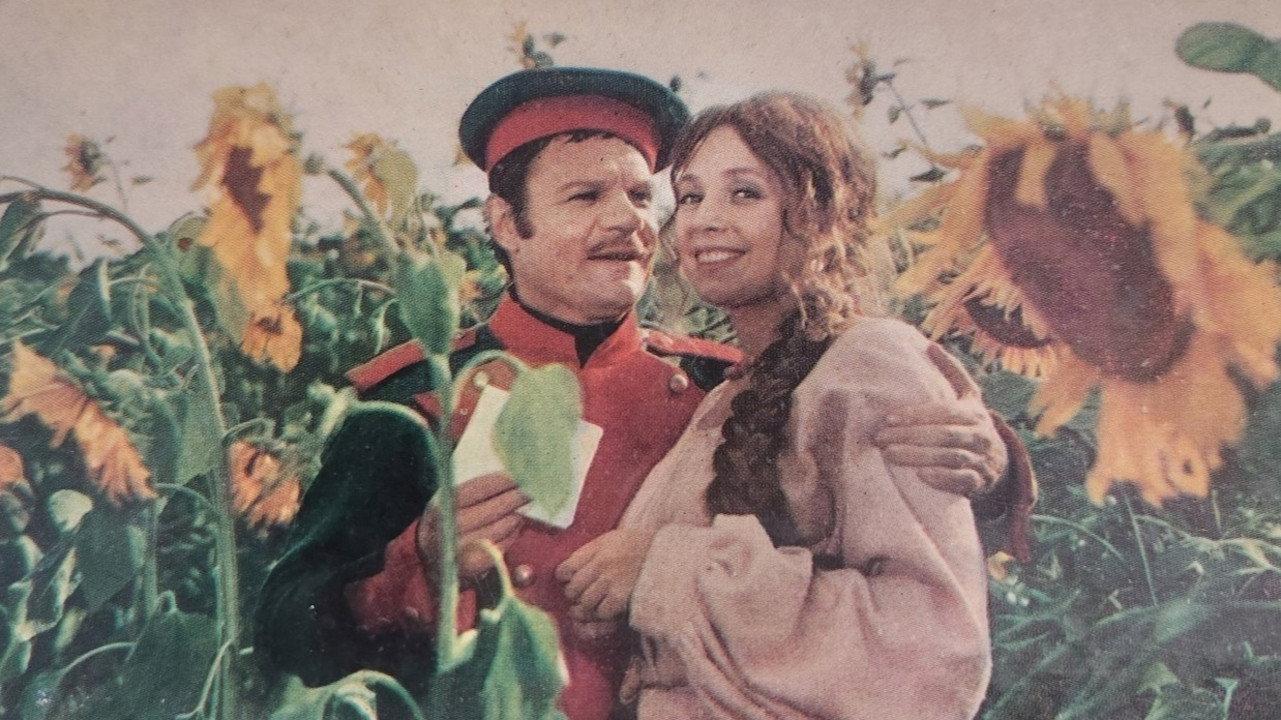 Shelmenko the Orderly 1971 movie scene