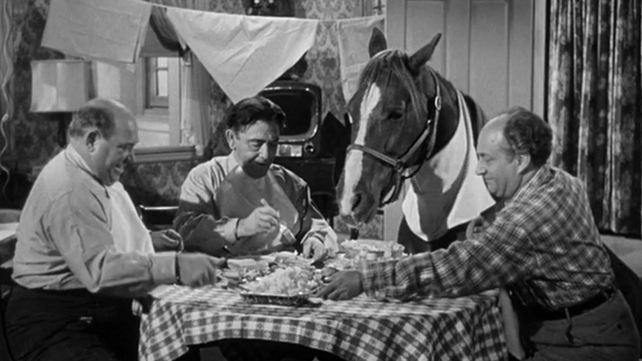 Horsing Around 1957 movie scene