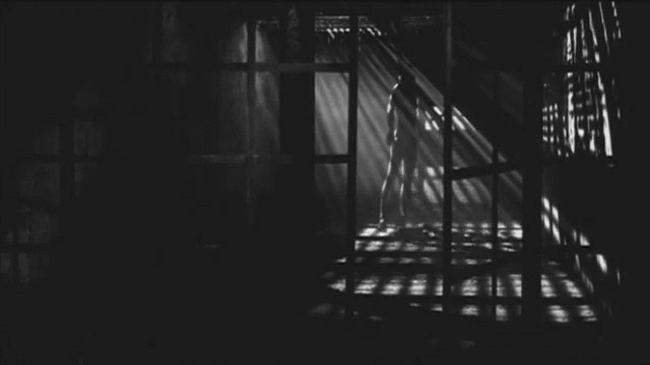 Zoetrope 1999 movie scene