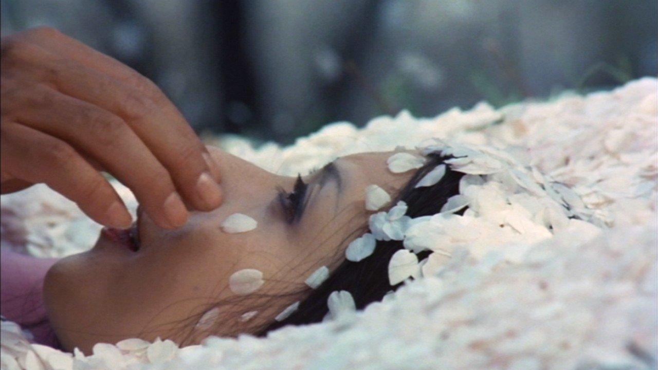 Under the Blossoming Cherry Trees 1975 movie scene