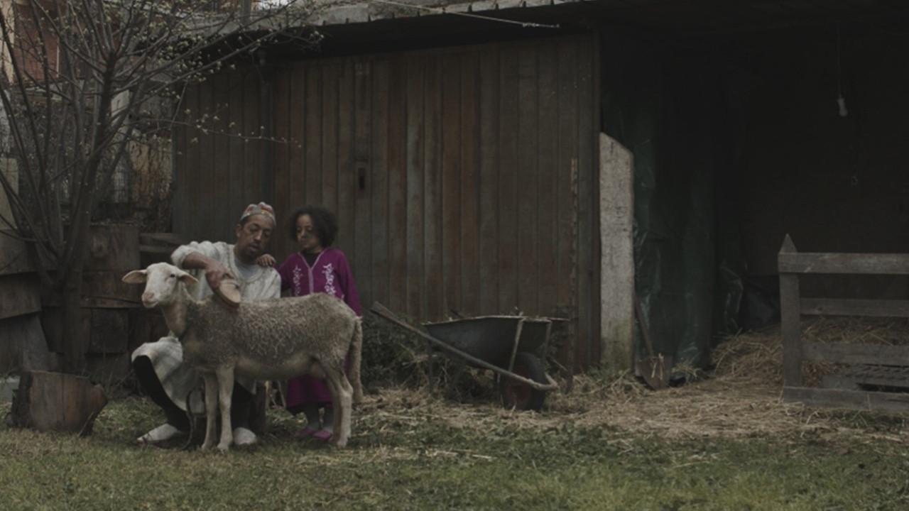 La pecora 2021 movie scene