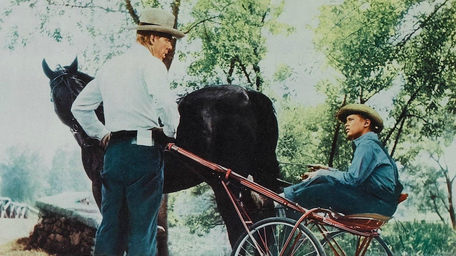 The Missouri Traveler 1958 movie scene