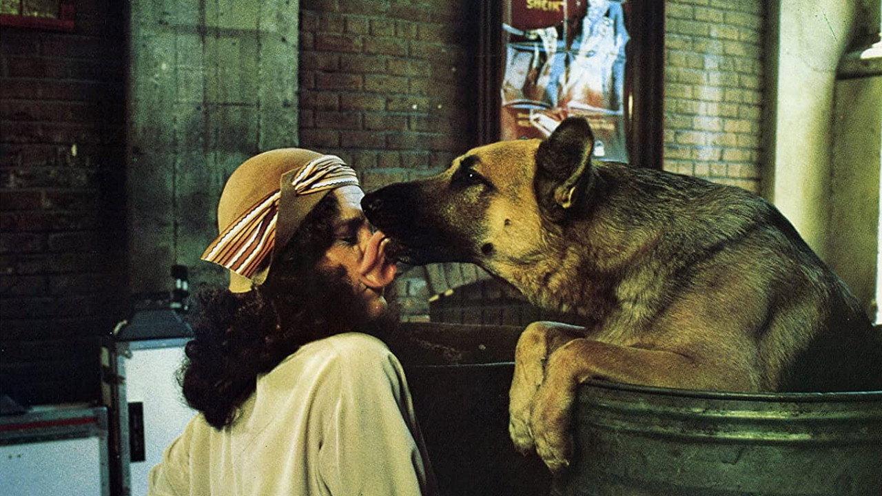 Won Ton Ton: The Dog Who Saved Hollywood 1976 movie scene