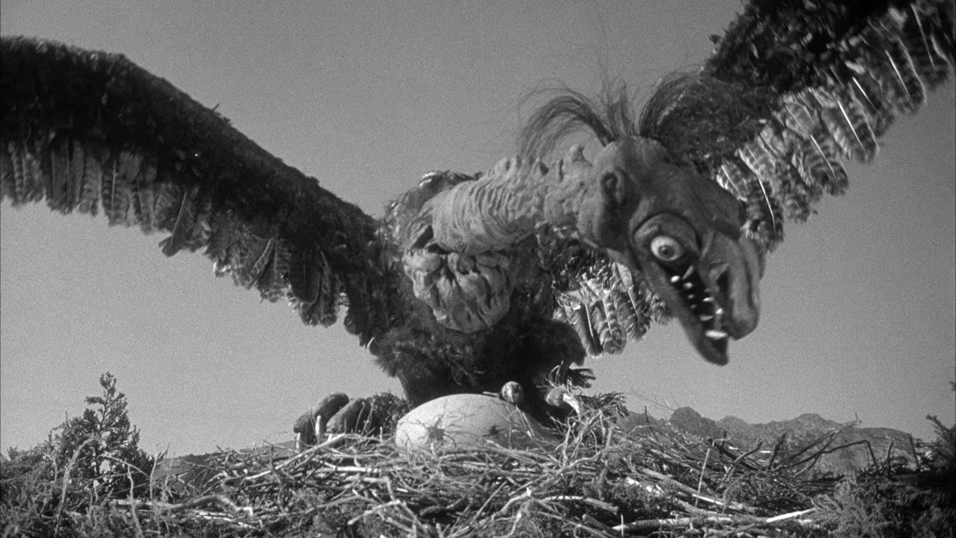 The Giant Claw 1957 movie scene