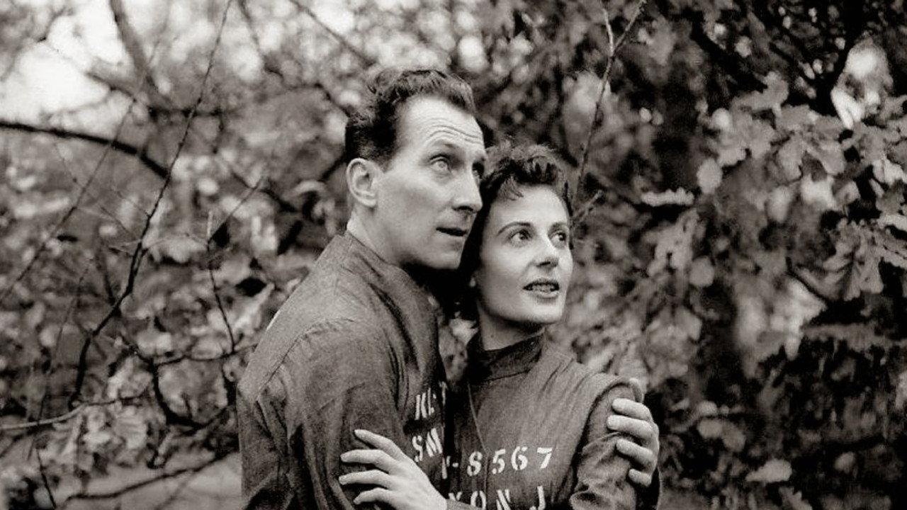 Nineteen Eighty-Four 1954 movie scene