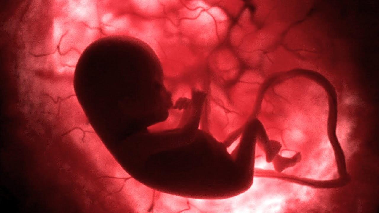 Life Before Birth 2005 movie scene