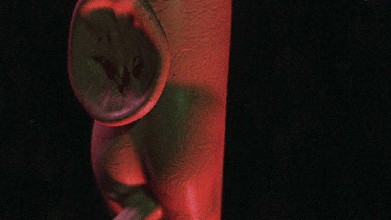 Kingdom Protista 2000 movie scene
