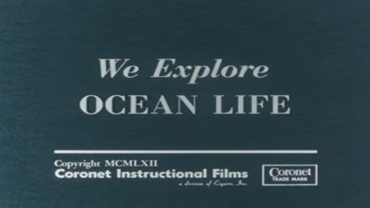 We Explore Ocean Life 1962 movie scene