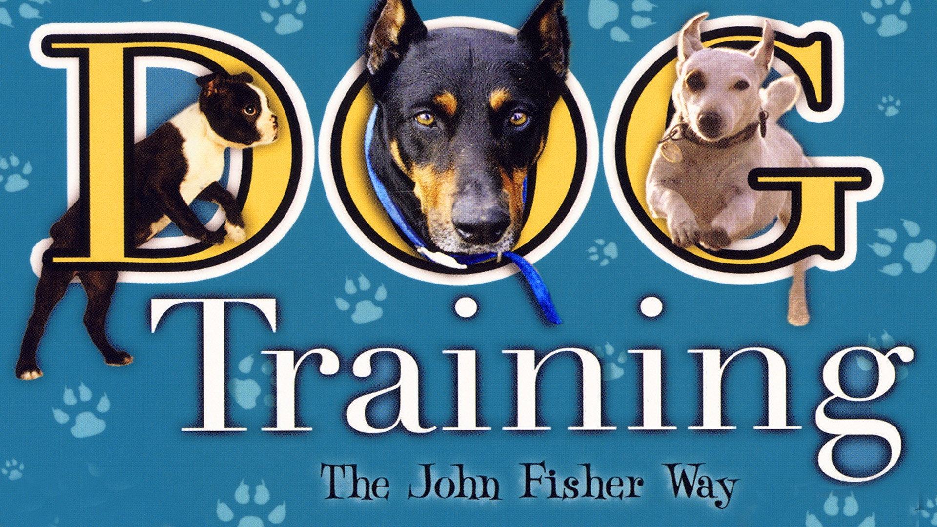 Dog Training the John Fisher Way 2004 movie scene