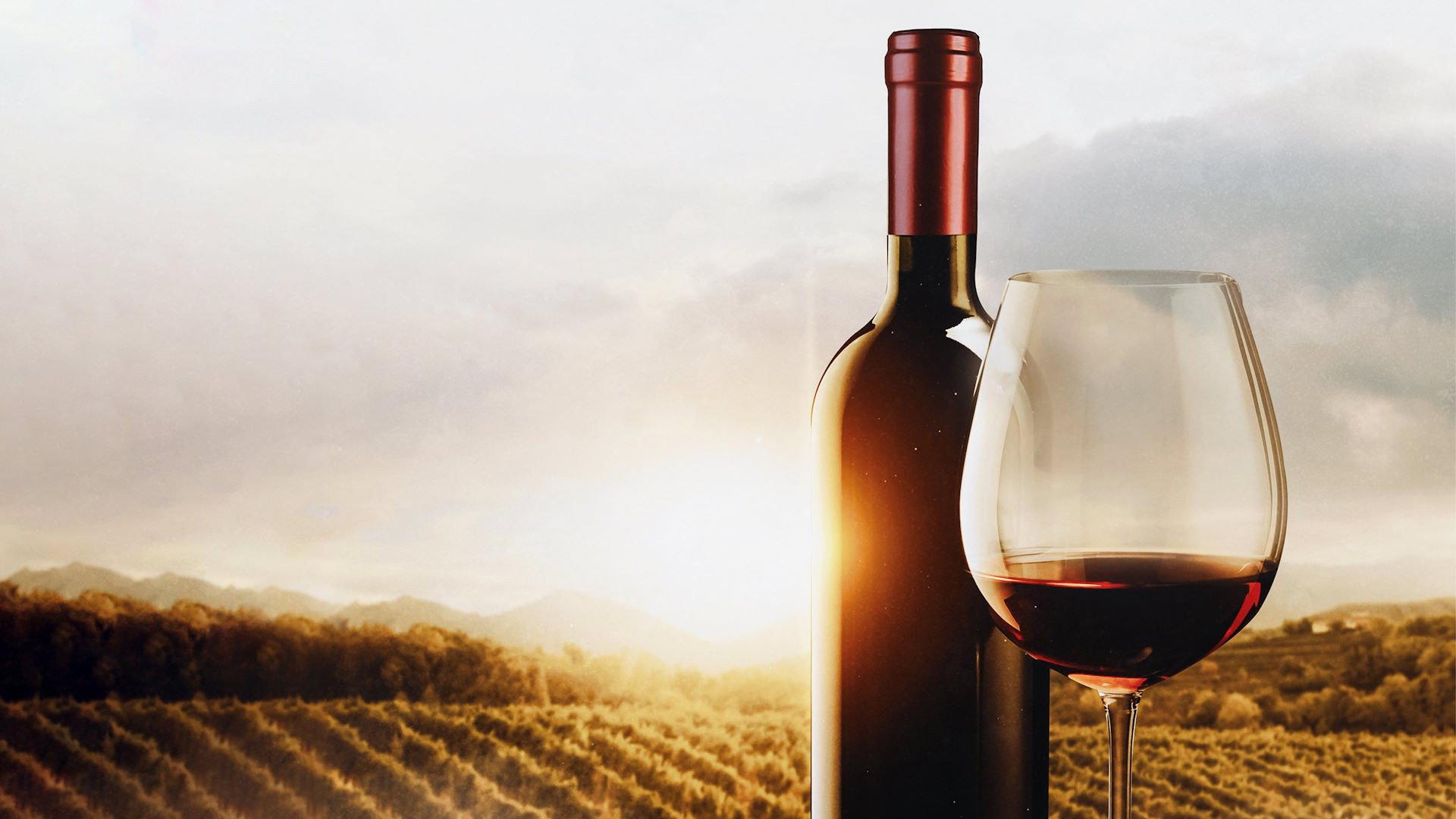 The Mostly Serious History of Wine 2023 movie scene