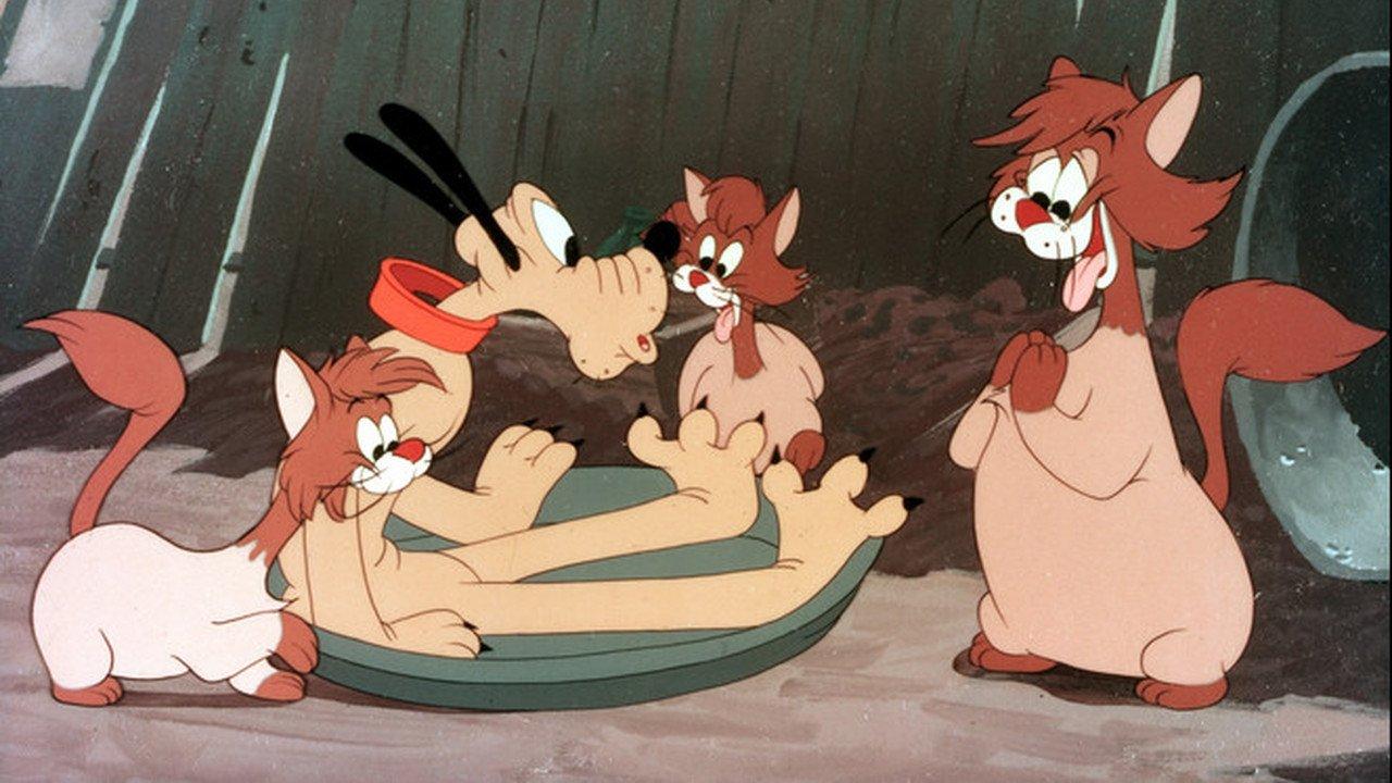 Puss Cafe 1950 movie scene