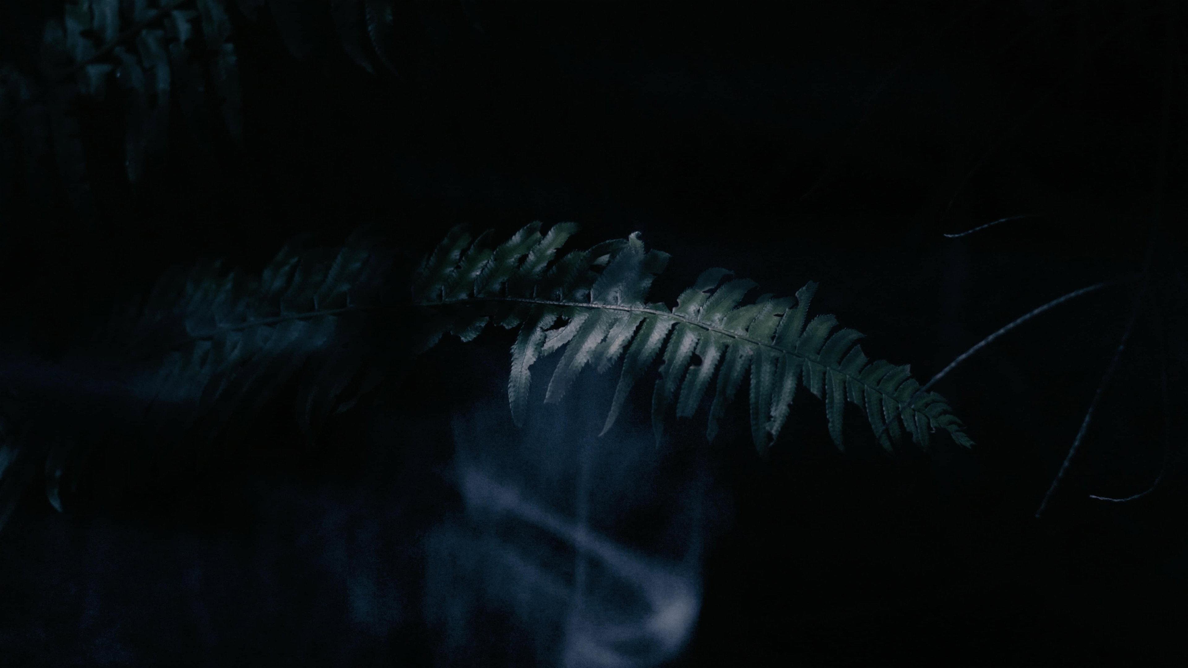 Ghost is Hungry 2020 movie scene