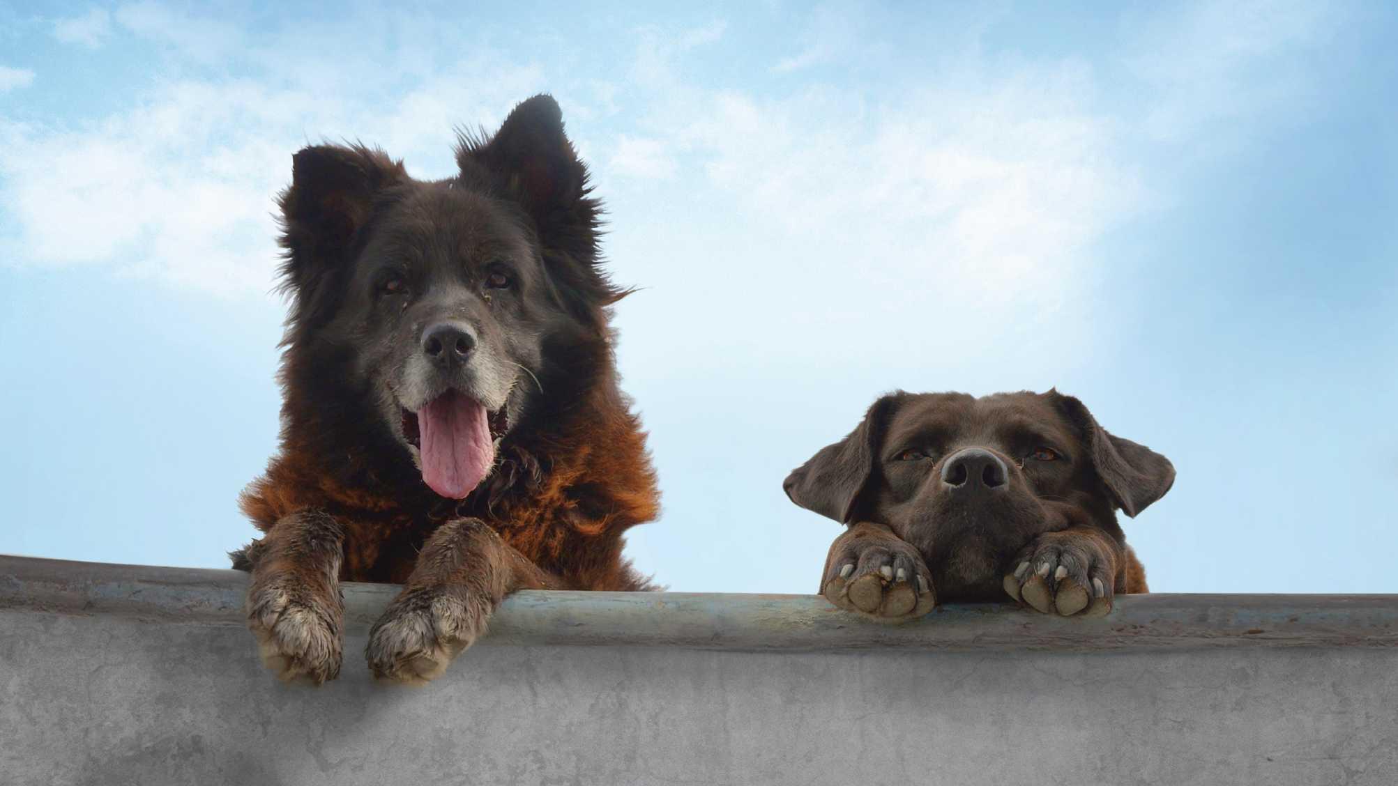 Los Reyes 2019 movie scene