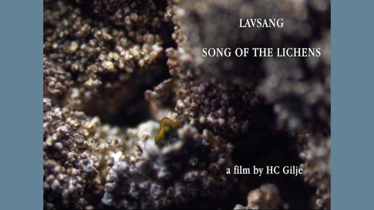 Lavsang - Song of the Lichens 2024 movie scene