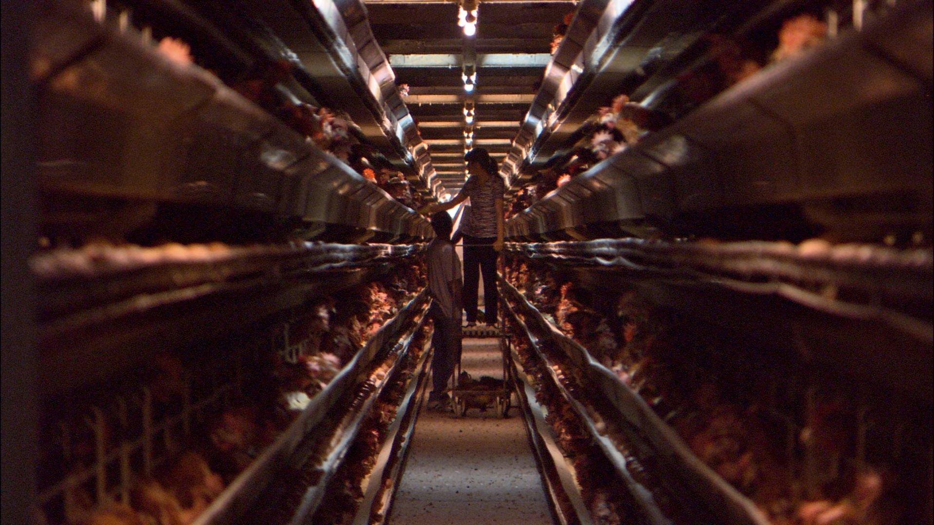 Our Daily Bread 2006 movie scene