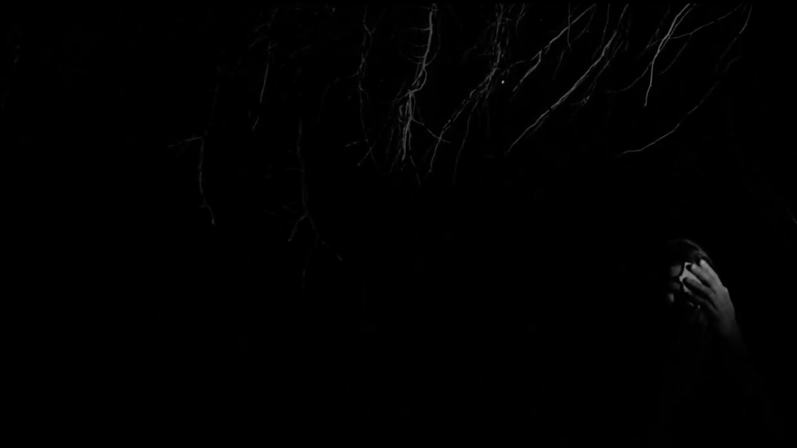 Kintsukuroi or where the trees are born 2019 movie scene