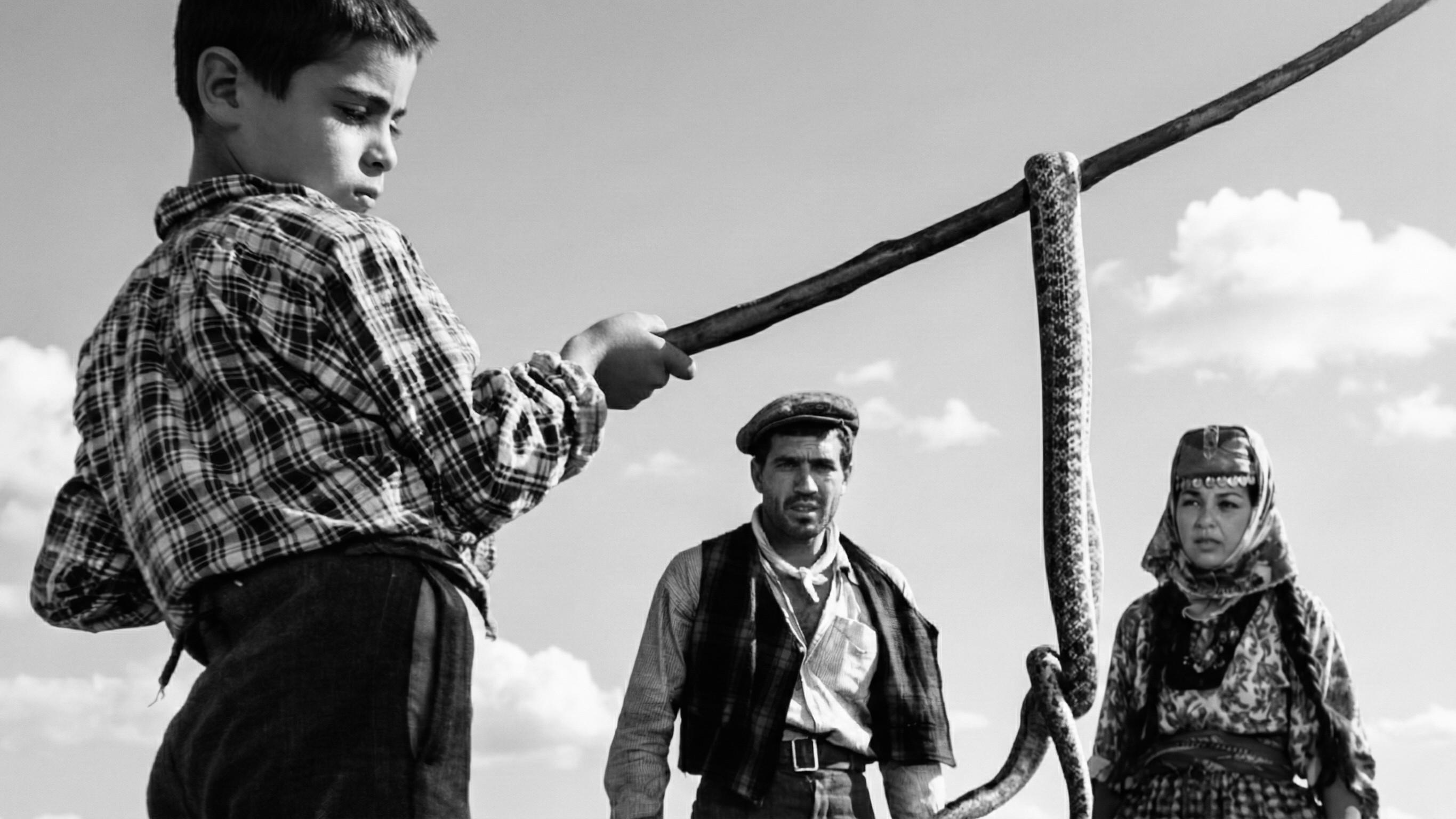 Revenge of the Snakes 1962 movie scene