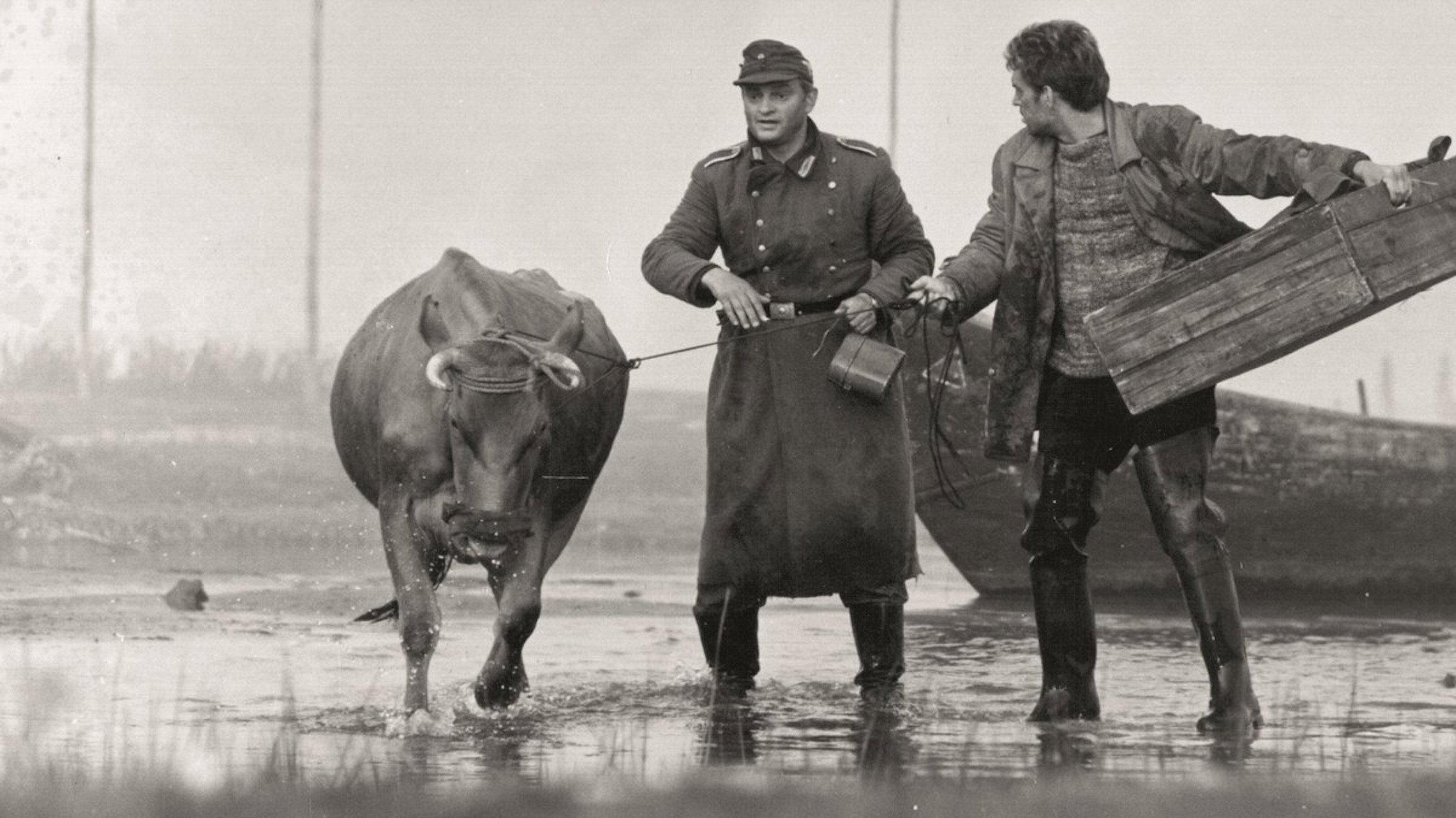 Feelings 1968 movie scene