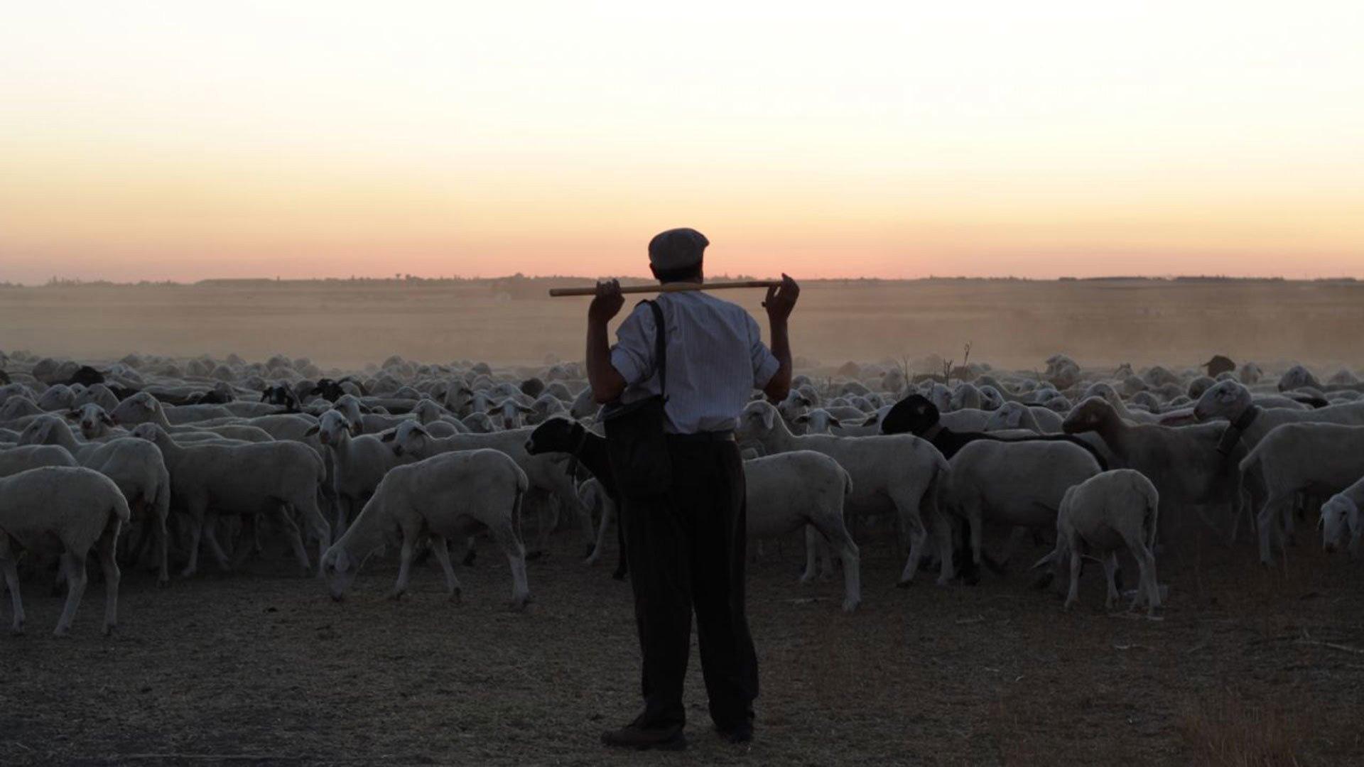 The Shepherd 2016 movie scene