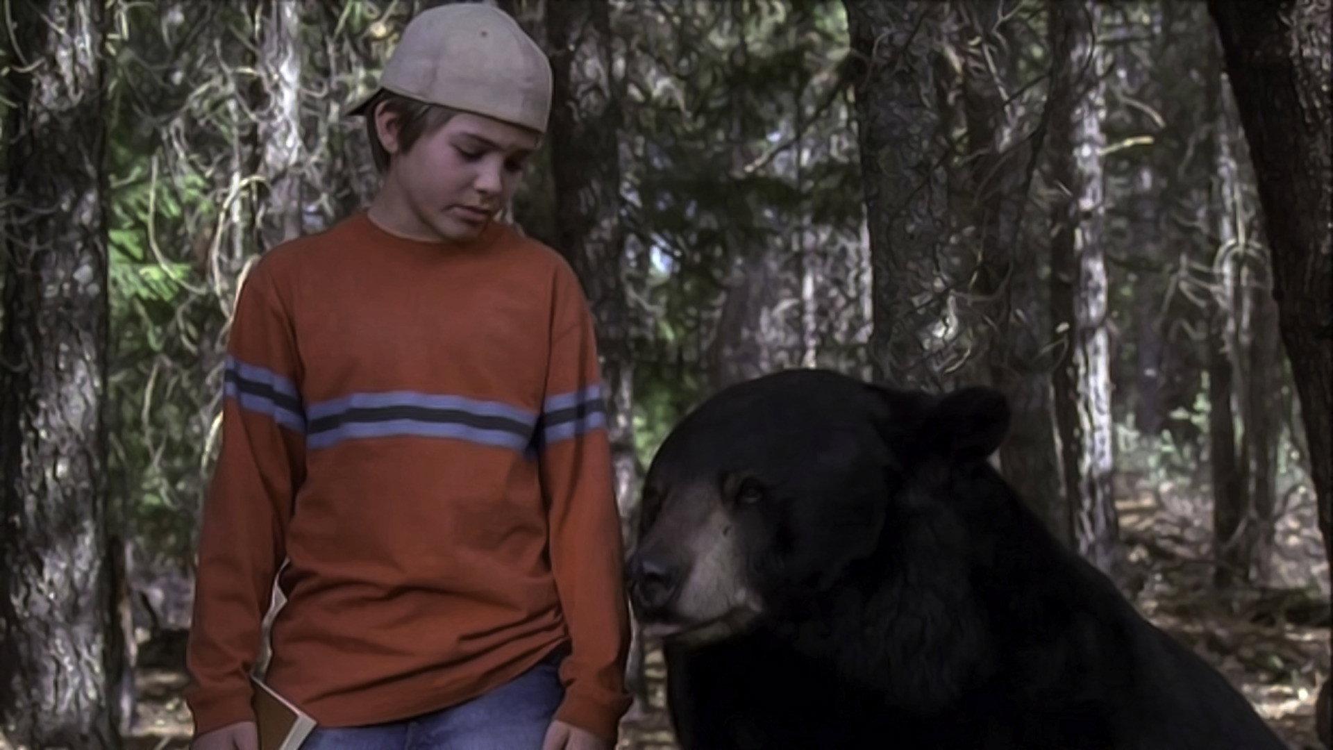 Gentle Ben 2002 movie scene