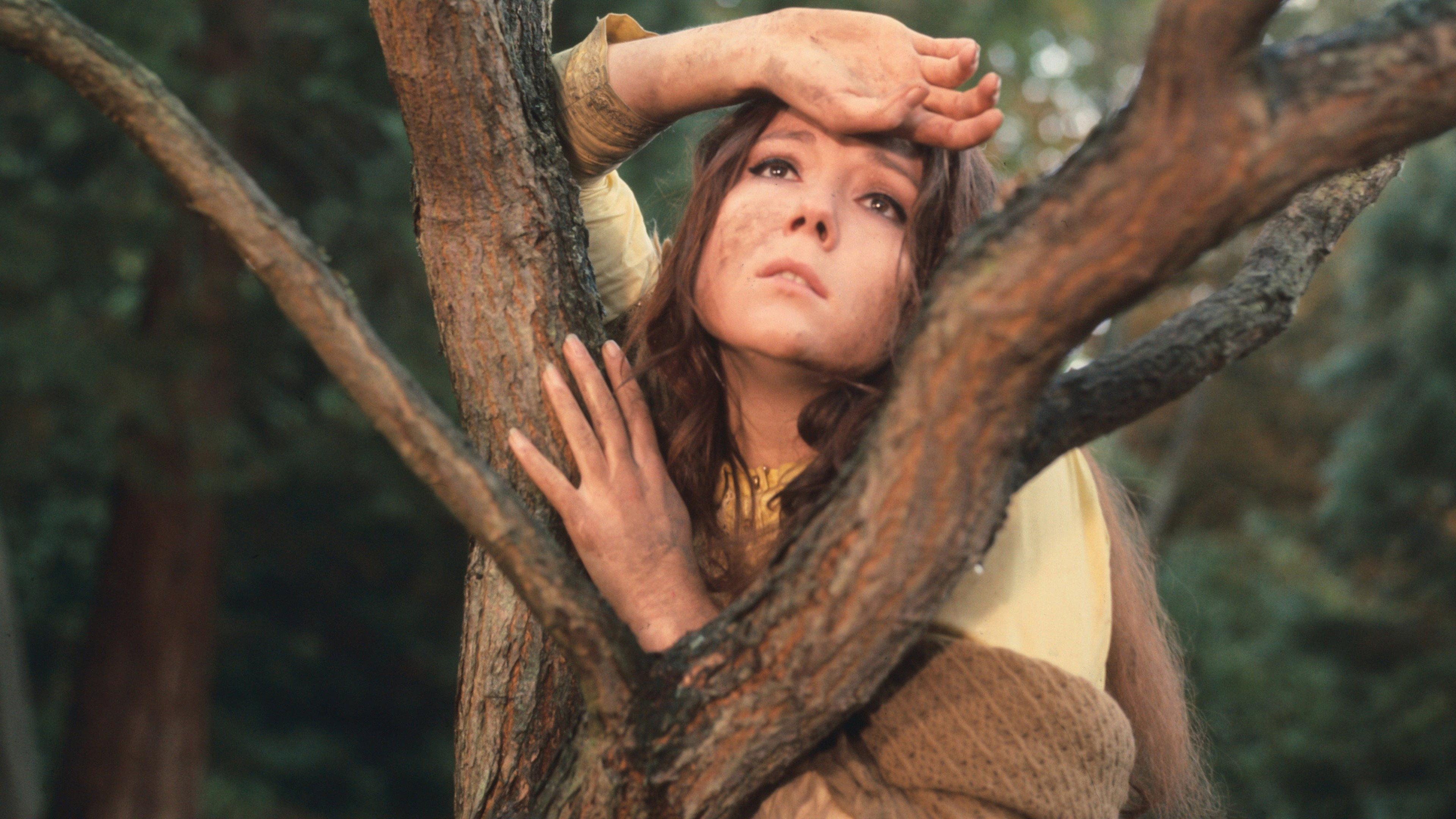A Midsummer Night's Dream 1968 movie scene