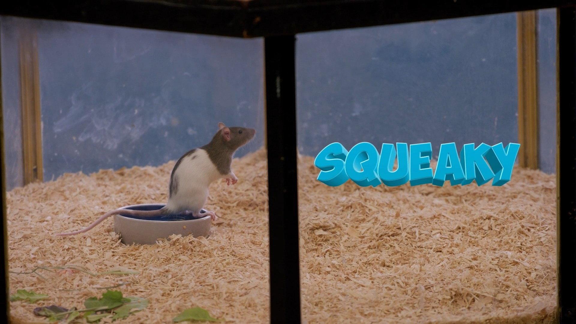 Squeaky the Rat 2025 movie scene