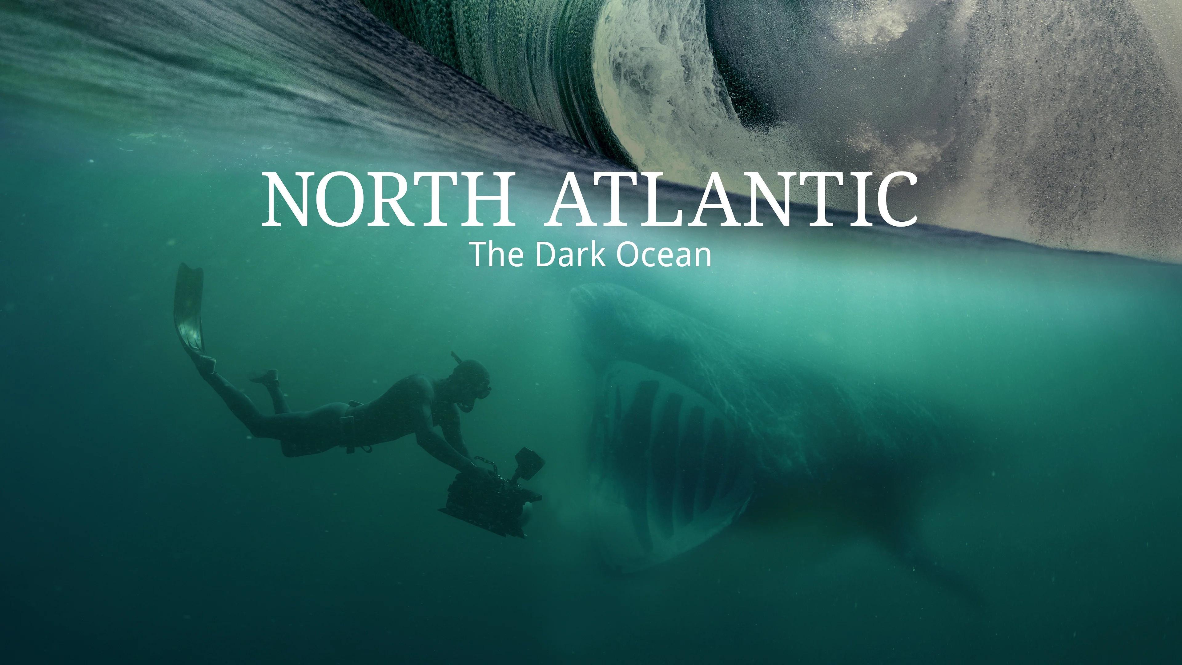 North Atlantic: The Dark Ocean 2023 movie scene