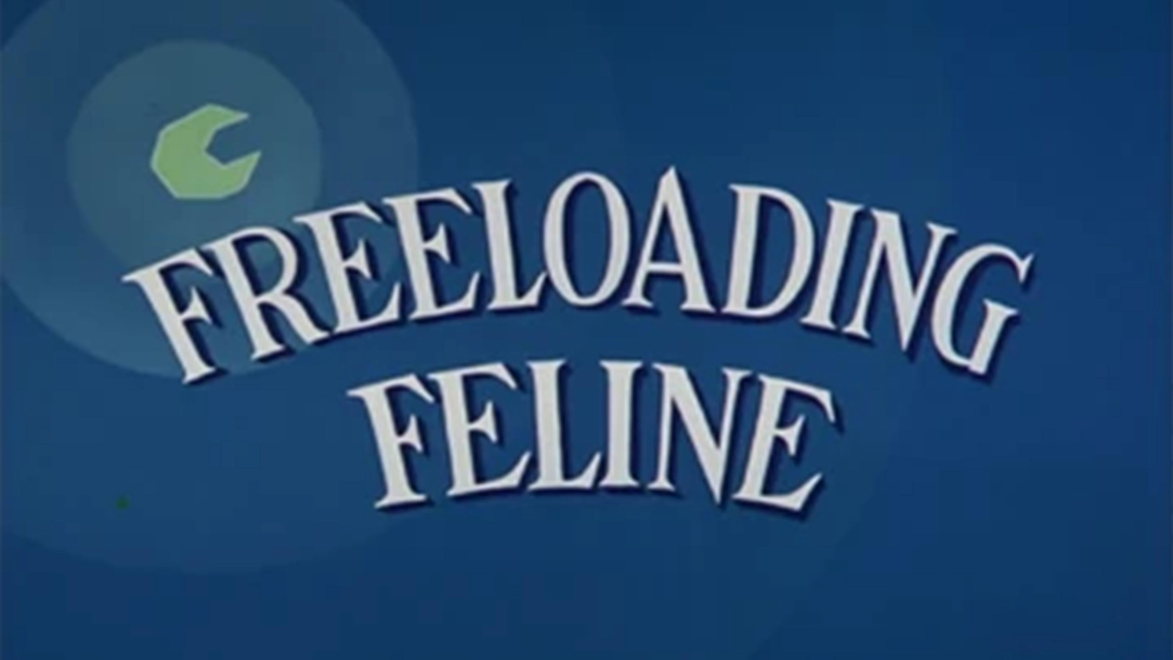 Freeloading Feline 1960 movie scene