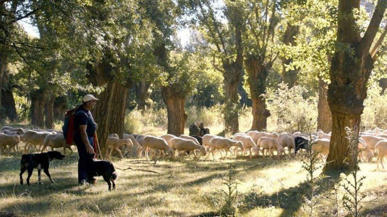 Espagne, la voie des bergers 2023 movie scene